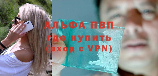 гидра Володарск