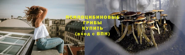 МДПВ Волосово