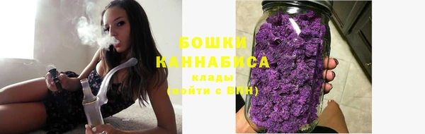 гидра Володарск