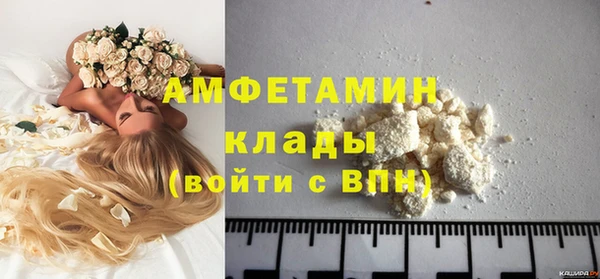 гидра Володарск