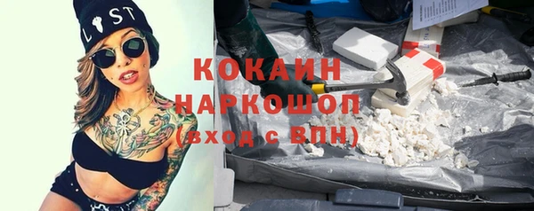 гидра Володарск