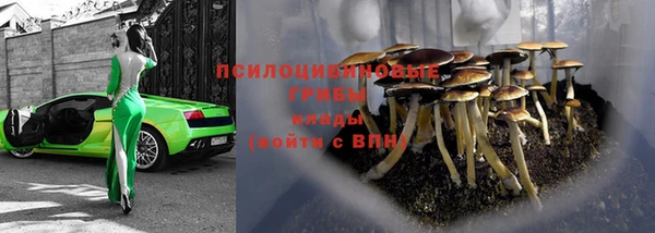 гидра Володарск